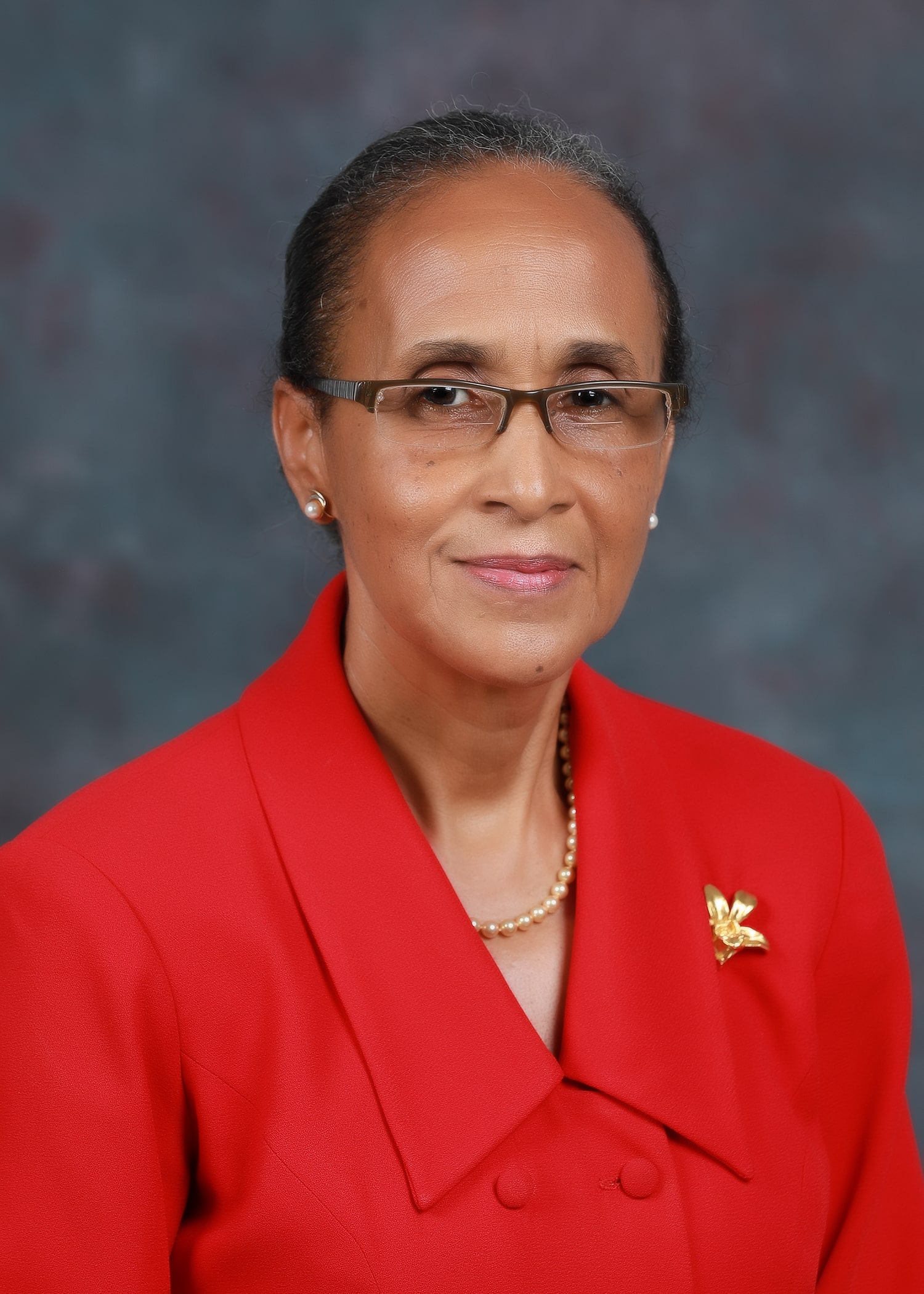 Board Chairperson Image